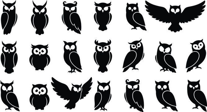 black and white owls in various poses for halloween or wildlife designs