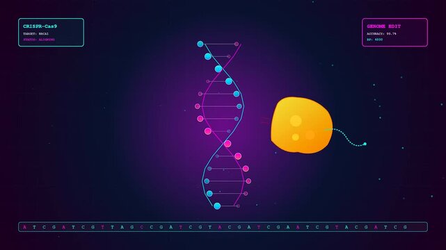 The crispr gene editing process shows a digital dna strand being manipulated by an orange glowing protein interface within a dark purple neon data matrix environment