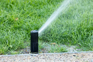 Fototapete Olive Black garden sprinkler spraying water onto green grass in a landscaped yard, with gravel border and lush vegetation surrounding the area  © Vlad Yakubovskiy