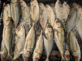 Obraz premium Various types of fresh fish with tongs at traditional market.