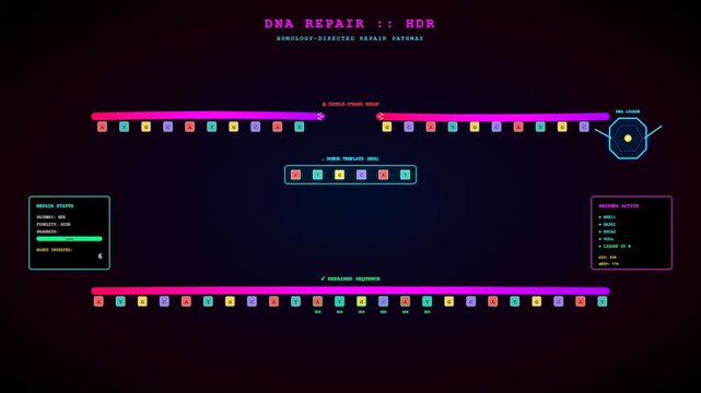 Three panels demonstrating crispr gene editing processes where digital strands of nucleotides interact with molecular templates to visualize the complex biochemical repair of damaged double helix