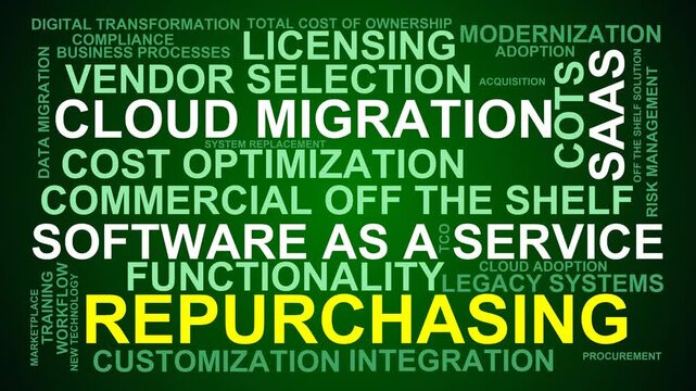Repurchasing Word Cloud