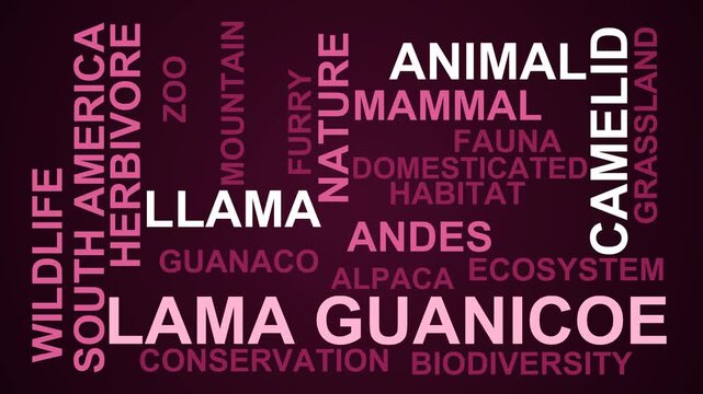 Lama Guanicoe Word Cloud