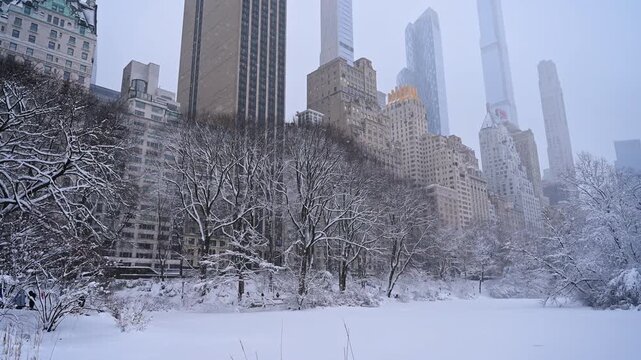 People walk in Central Park on a winter snowy day. Low-angle view at the high-rises of Manhattan at blizzard.