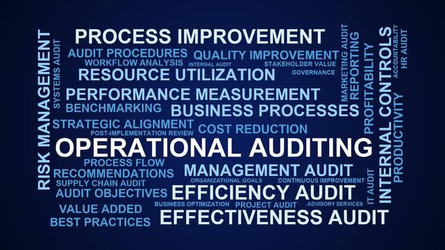 Operational Auditing Word Cloud