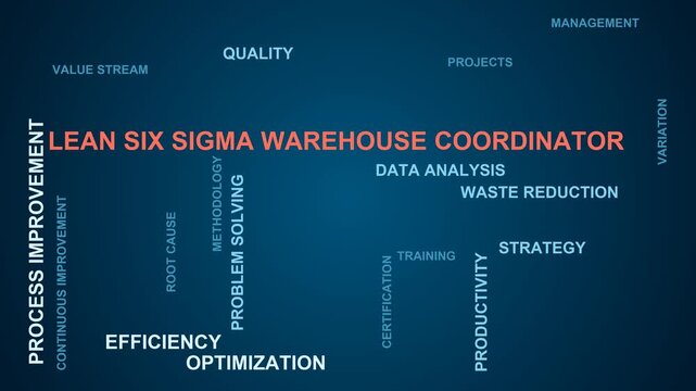 Lean Six Sigma Warehouse Coordinator Word Cloud