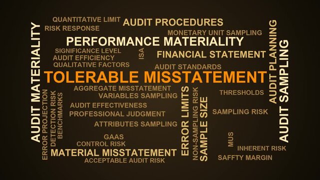 Tolerable Misstatement Word Cloud