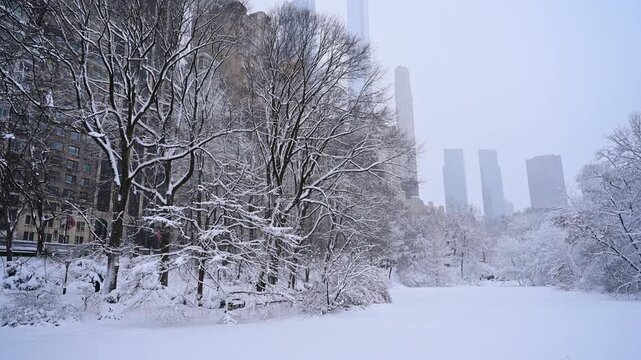 Blizzard in Manhattan, New York City. White snow covers the ground and trees.
