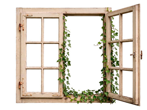 Rustic wooden window frame with climbing ivy vines and open casement revealing a blank space for copy PNG Isolated on transparent background