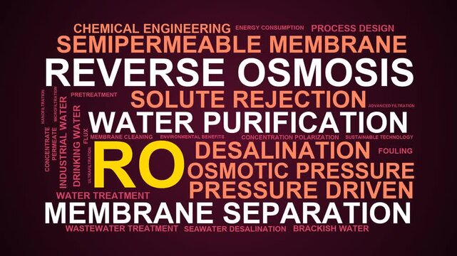 Ro Word Cloud