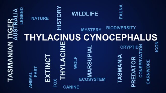 Thylacinus Cynocephalus Word Cloud