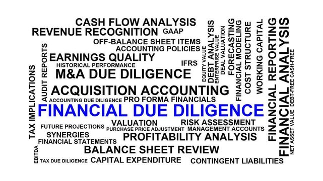 Financial Due Diligence Word Cloud