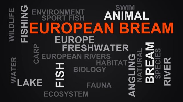 European Bream Word Cloud