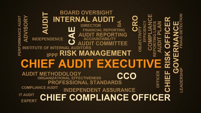 Chief Audit Executive Word Cloud