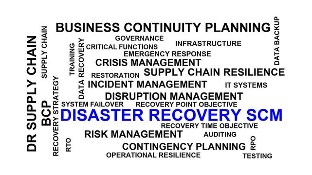 Disaster Recovery Scm Word Cloud