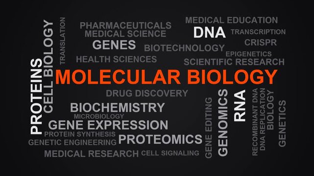 Molecular Biology Word Cloud