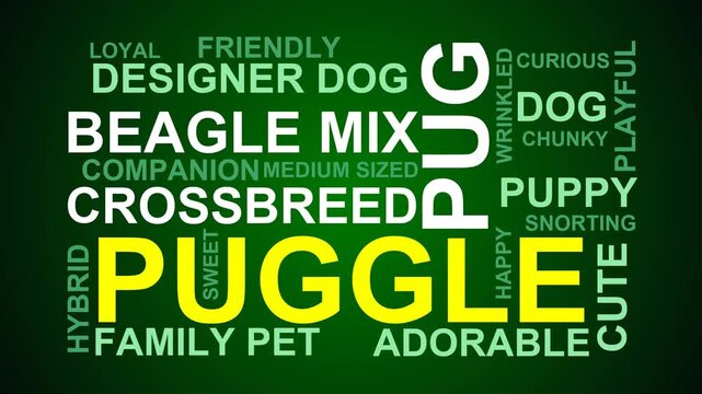 Puggle Word Cloud