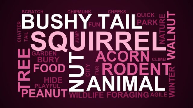 Squirrel Word Cloud