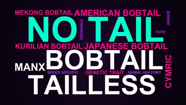 No Tail Word Cloud