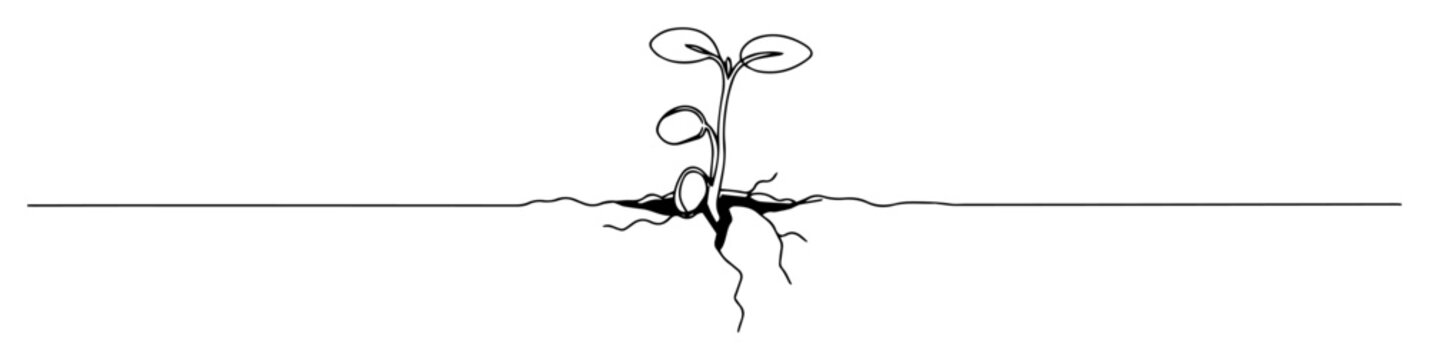 Seed sprouting from earth outline vector illustration