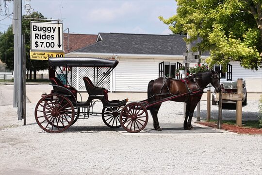 Amish horse and carriage