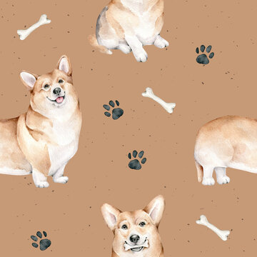 watercolor corgi dog.seamless pattern with corgi dog.domestic animal.