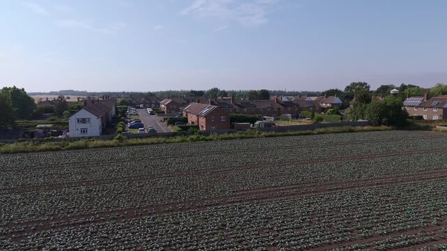 Aerial view sweeps over neat farm rows toward distant homes. Green crops grow orderly, bordered by red soil lines. Sky is clear blue, with soft clouds above. Village rooftops peek through trees