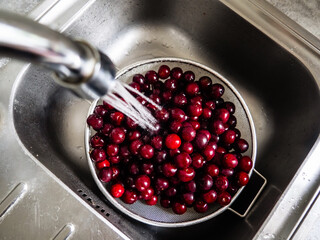 Washing cherries under the tap. Preparing berries for freezing for the winter. © Iryna Diadechko