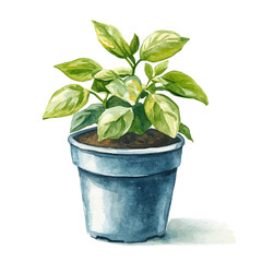 Fototapeta premium Plastic Self-watering Pot, drawing watercolor, vector isolated on a white background.