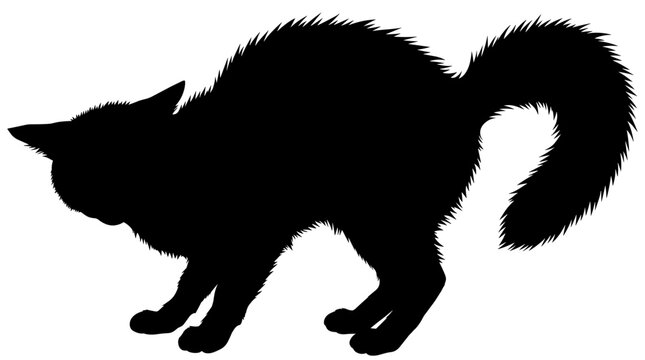 Black cat silhouette with arched back and bushy tail