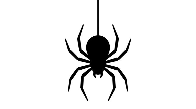 Black spider silhouette hanging from a thread