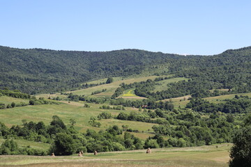 Fototapeta premium Mountain valley with green forest hills and rural meadow landscape on sunny summer day