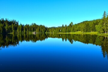 View of Prebersee lake with a conifer forest at the hore and a reflection of the trees in the water in Lungau, Niedere Tauern, Austria © kato08