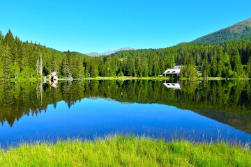 View of Prebersee lake with grass at the shore and a conifer forest with huts at the far side and a reflection in the water in Lungau, Niedere Tauern, Austria © kato08
