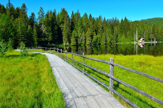 Woodwalkway at a raised bog at Prebersee lake with a conifer forest at the shore in Lungau, Niedere Tauern, Austria