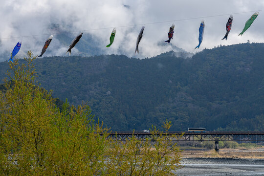 Colorful carp streamers over the Oi River in Ieyama, Shizuoka / 静岡県家山の大井川に泳ぐ鯉のぼり