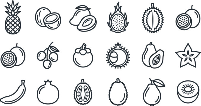 Tropical fruit vector icon set featuring pineapple mango coconut dragon fruit durian passion fruit papaya starfruit banana and kiwi line art elements