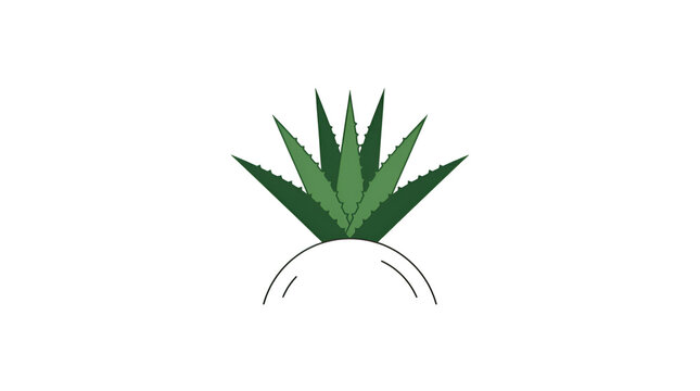 Minimalist agave plant vector with green leaves in a white pot