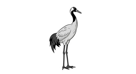 Obraz premium Minimalist black and white illustration of a red-crowned crane standing gracefully. Elegant design, isolated on a clean white background.