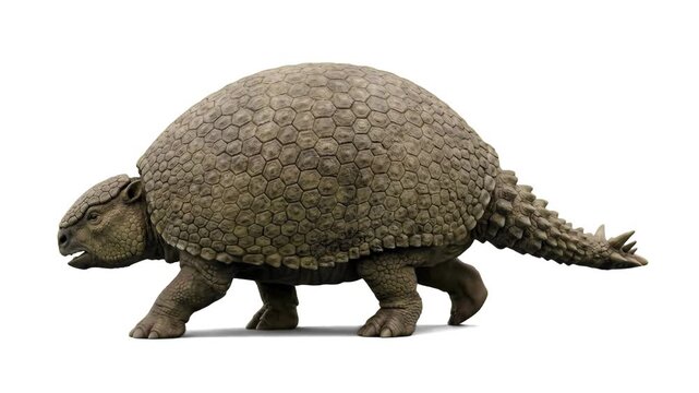 A detailed 3D model of the extinct giant armored mammal Glyptodon walking forward, isolated on a clean white background. Excellent for Pleistocene megafauna documentaries, ancient wildlife animations,