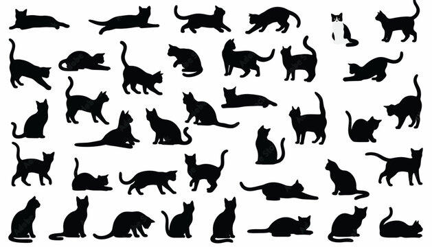 Cats in various poses are displayed as a collection of black silhouettes arranged on a clean white background.