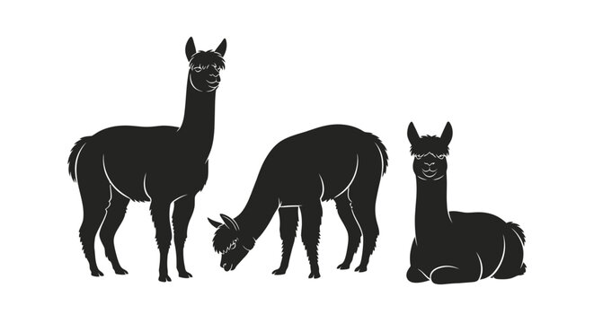 Black silhouettes of three llamas standing.