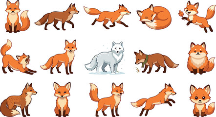 Fox vector cartoon character collection featuring cute orange red foxes and white arctic fox running jumping sleeping stretching and sitting on white background © ALOMGIR