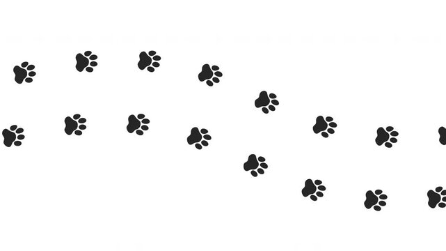Dog or cat paw prints animation. Walking animal footprints. Embedded alpha channel. ProRes 4444