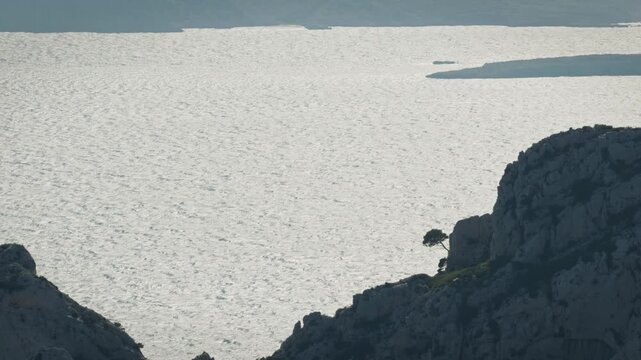 A silhouette of the rocky coastal landscape and a single tree growing out of the rock at an angle. In the background, the water, rippled by the waves, is visible, with the sun glistening.