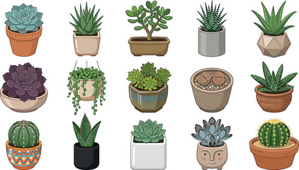 Potted succulent vector collection featuring various indoor houseplants green echeveria cactus aloe vera and lithops in decorative ceramic pots on white background © ALOMGIR