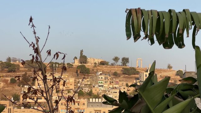 Striking footage looking up from below at the imposing ancient ruins of the Amman Citadel, one of Jordan's most historically significant and dramatic archaeological sites, Amman City, Jordan.