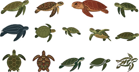 Sea turtle vector illustration set featuring realistic loggerhead green hawksbill leatherback species and tribal patterns isolated on white background © ALOMGIR