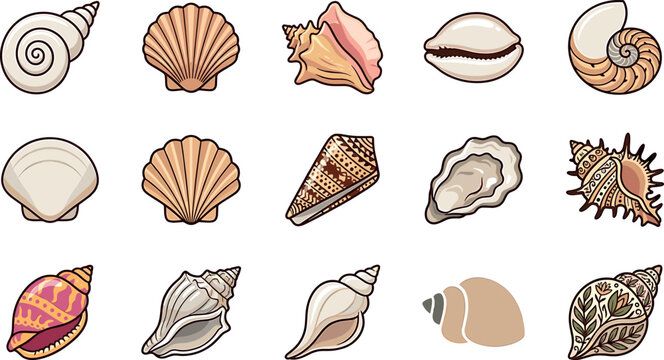 Seashell vector cartoon set featuring diverse marine shells scallop conch clam cowrie and decorative tribal mandala patterns on white background