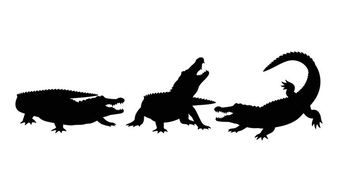 Silhouettes of crocodiles in motion sequence.